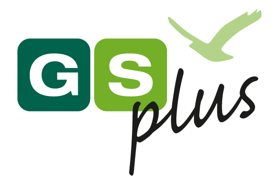 GS Plus Design